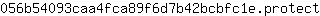0***t
