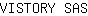 V***S