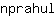 n***l