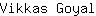V***l