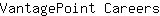V***s