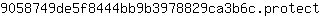 9***t