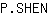 P***N