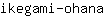 i***a