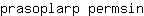 p***n