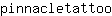 p***o