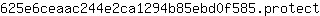 6***t