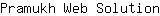 P***n