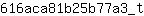 6***t