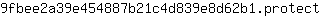 9***t