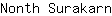 N***n