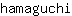 h***i