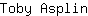 T***n