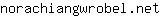 n***t