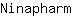 N***m