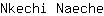 N***e