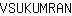 V***N