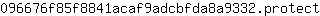 0***t