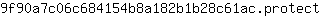 9***t