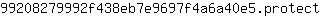 9***t