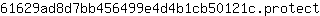 6***t