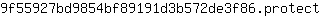 9***t