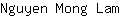 N***m