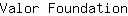 V***n