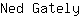 N***y