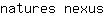 n***s