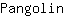 P***n