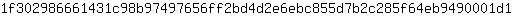 1***1