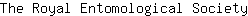 T***y