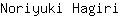 N***i