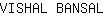 V***L