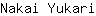 N***i