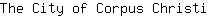 T***i