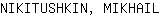 N***L