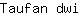 T***i