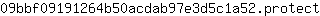0***t