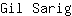 G***g