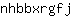 n***j