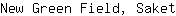 N***t