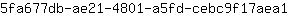 5***1