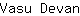 V***n