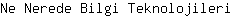 N***i