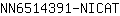 N***T