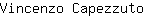 V***o