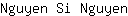 N***n