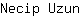 N***n